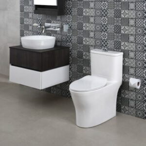 Productos Fv Area Andina S A Griferia Lavabos Sanitarios Inodoros Jacuzzi Ceramica Baneras Muebles Y Accesorios Para Bano