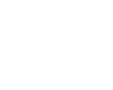 NOVUM Logo