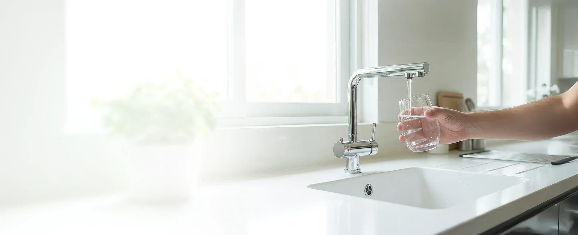 Banner Fondo FV Fresh