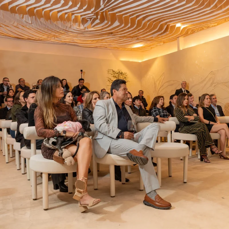 Franz Viegener Casas Project 3