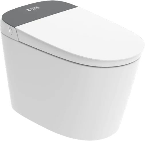 Neotech Inodoro Inteligente