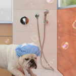 16273-kit-con-ducha-manual-y-conector-redondo_imagen-producto-secundaria-xl_19-14