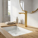 26823-juego-monocomando-alto-para-lavabos-vessel-coty_imagen-producto-secundaria_19-195